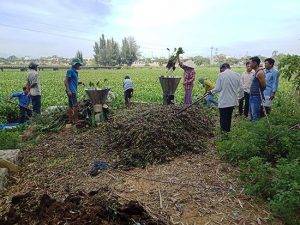 Earthworm Water Hyacinth Project Vietnam