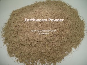 The Analysis of Earthworm powder Anphu Worm Meal